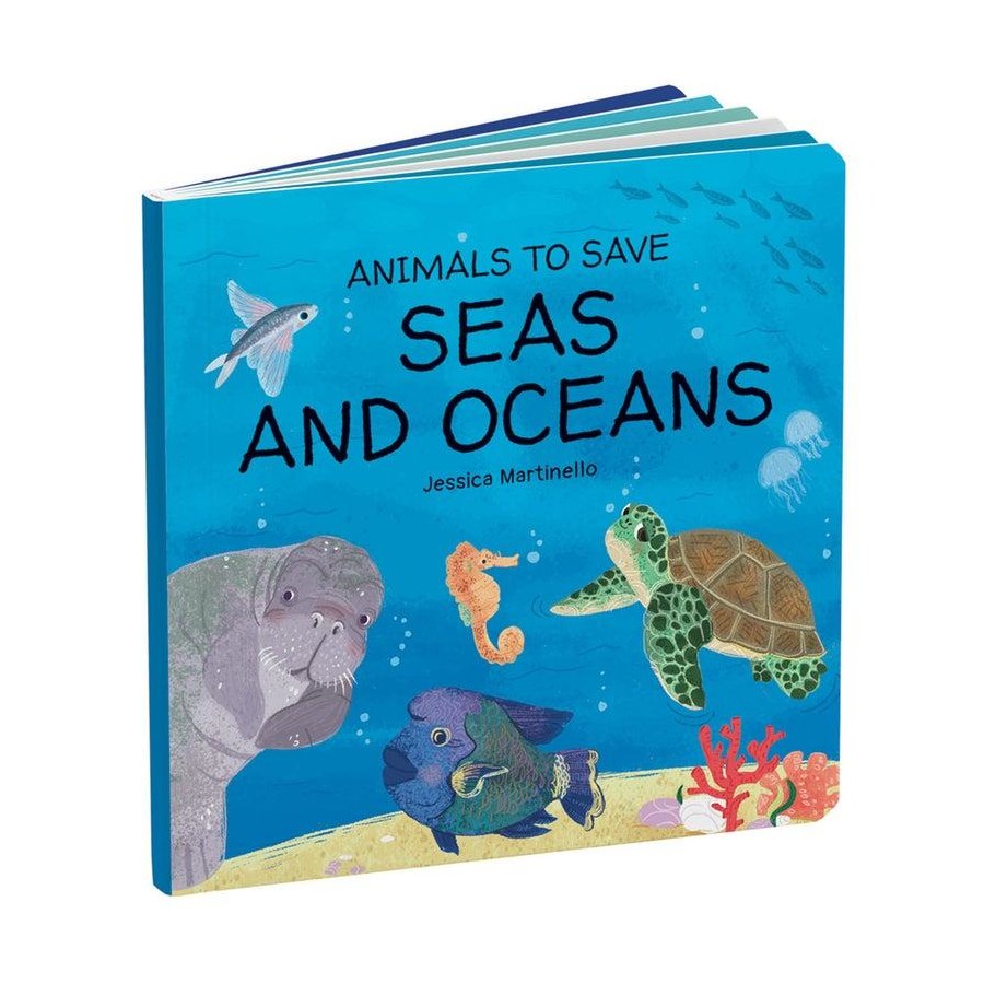Seas and Oceans - Sassi