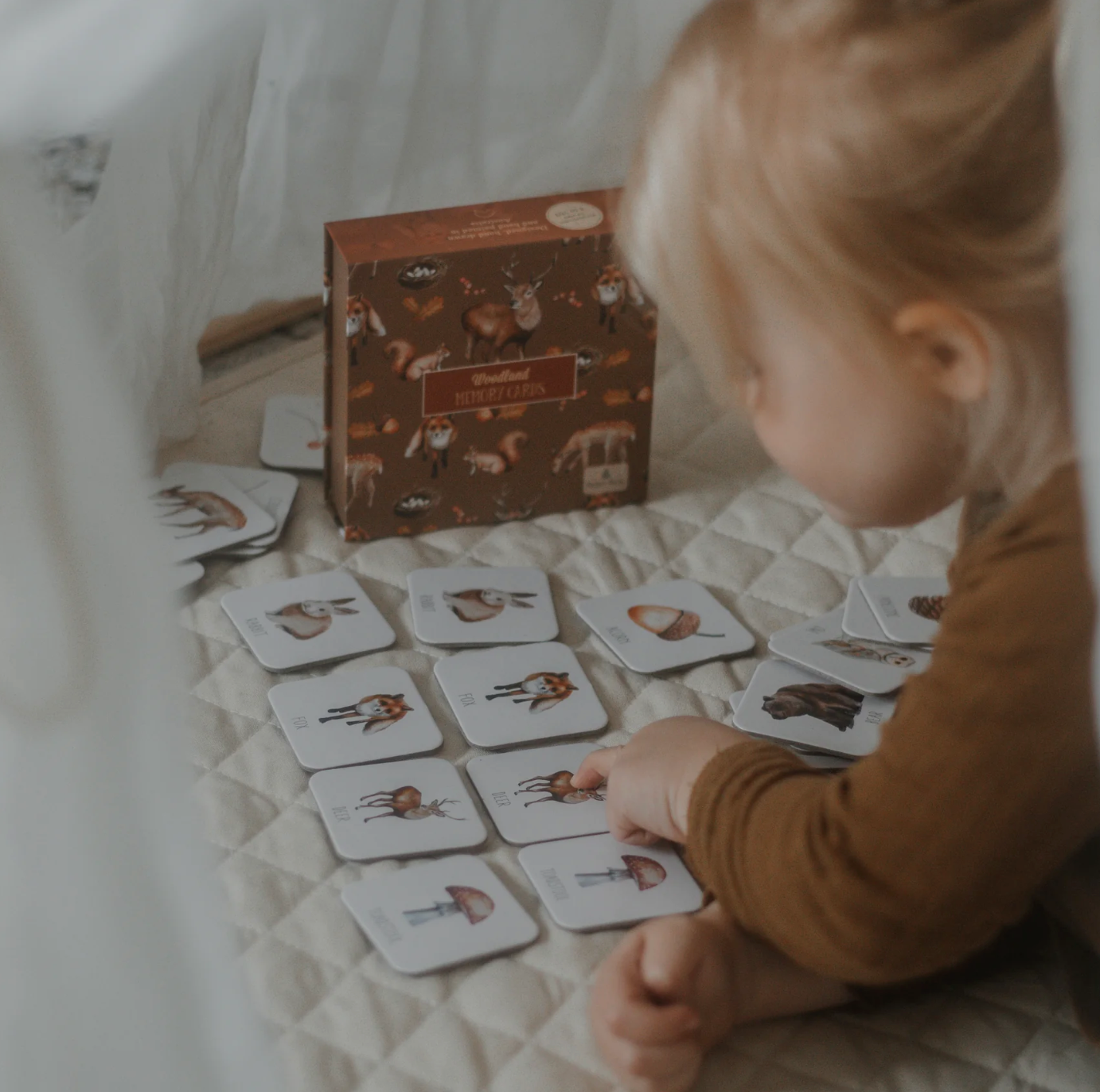 Memory Cards