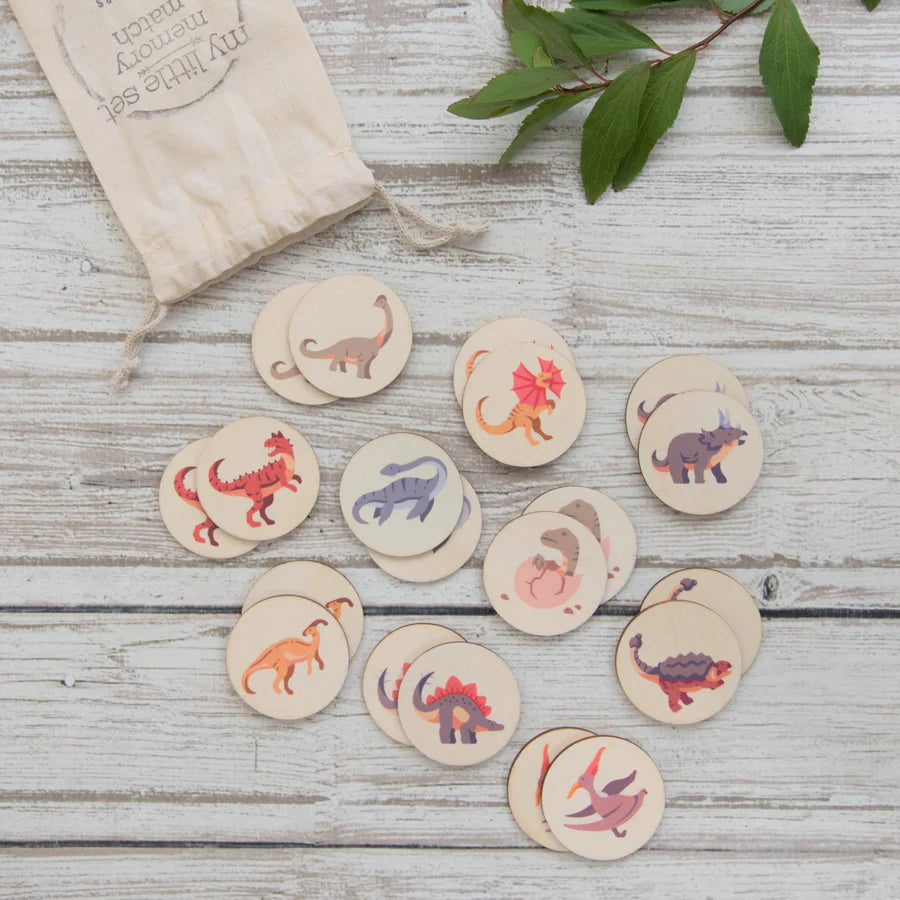 My Little Set Memory Match Dinosaurs