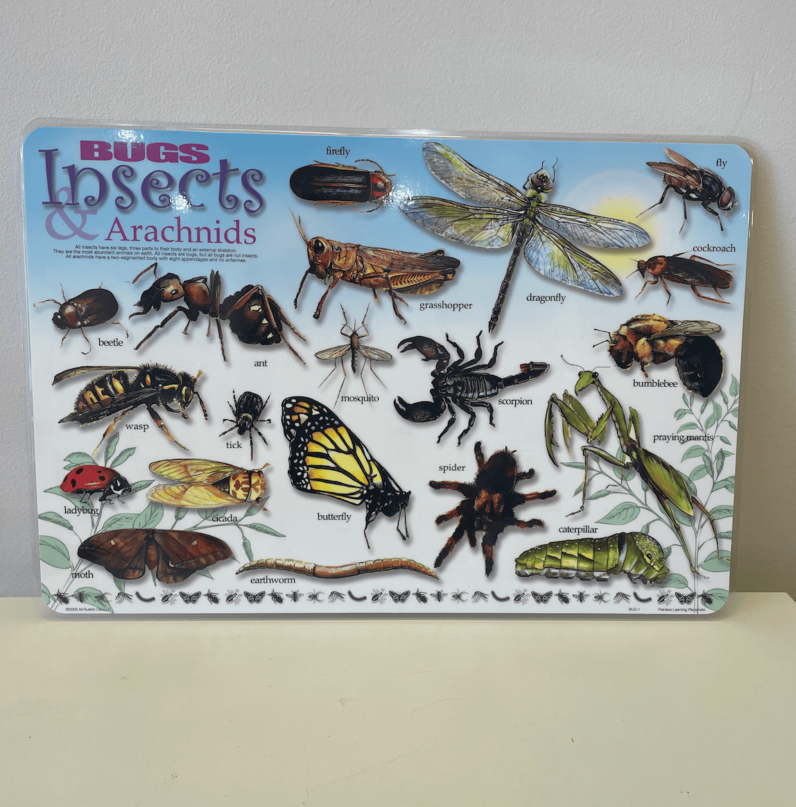Bugs and Insects Placemat