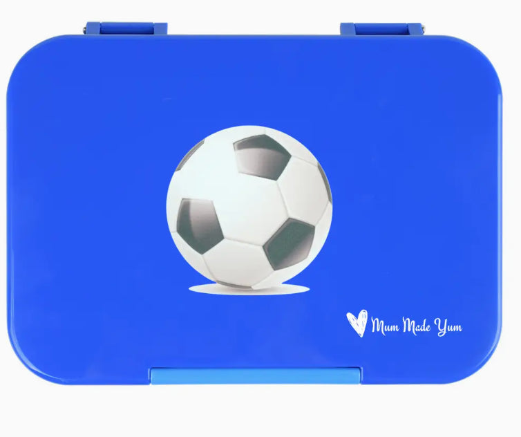 Bento Lunchbox Medium