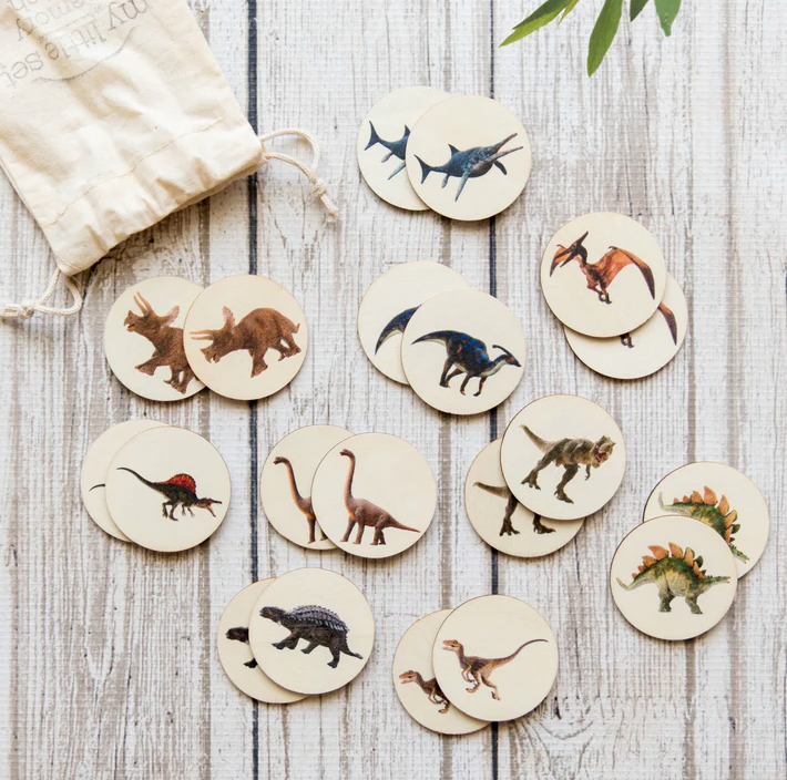 My Little Set Memory Match Dinosaurs