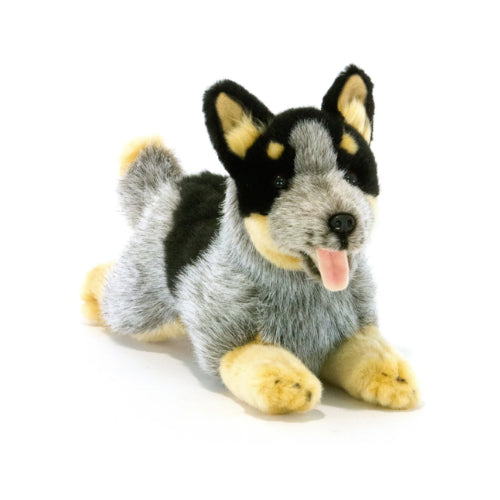 Rusty Cattle Dog Weighted