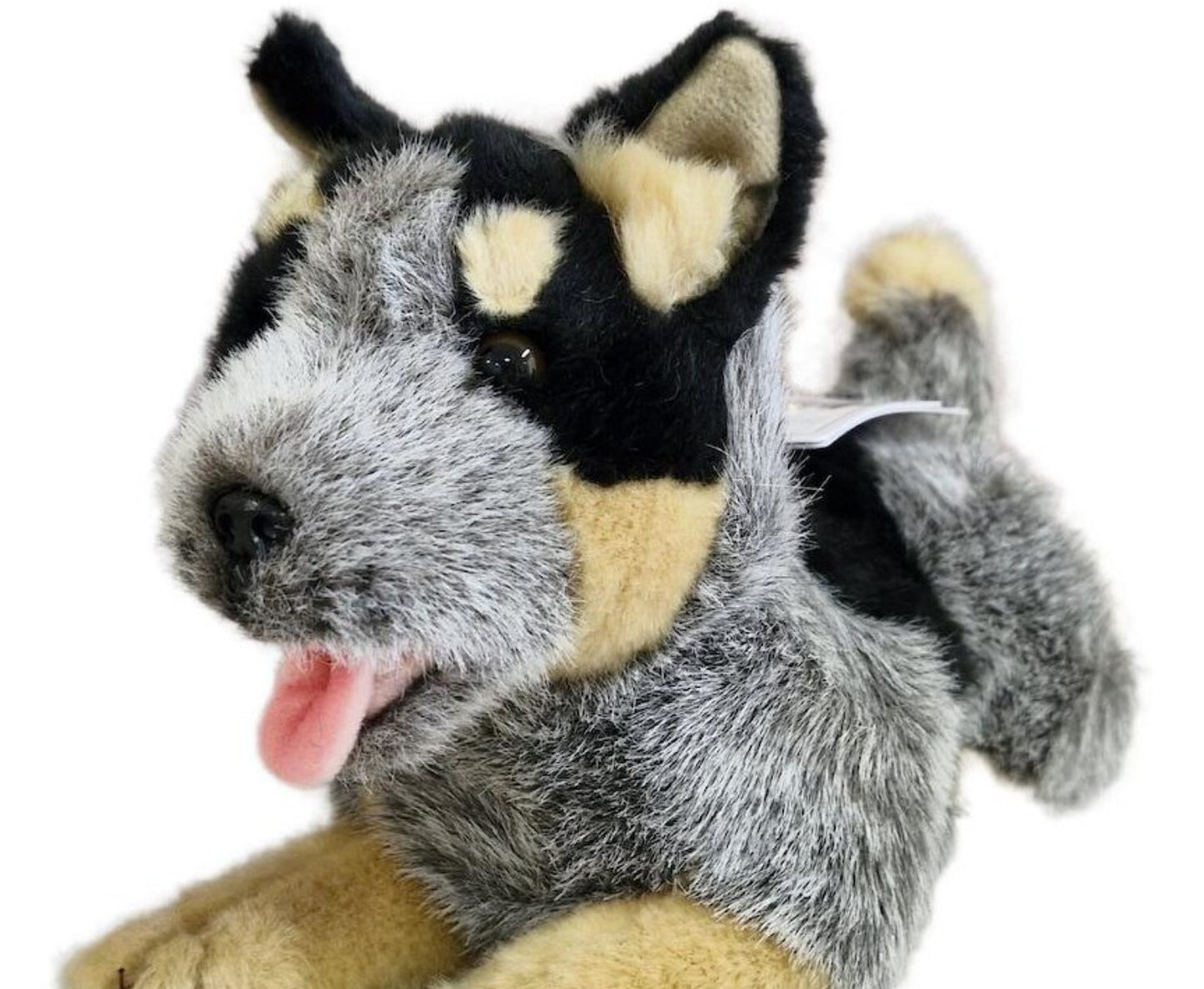 Rusty Cattle Dog Weighted