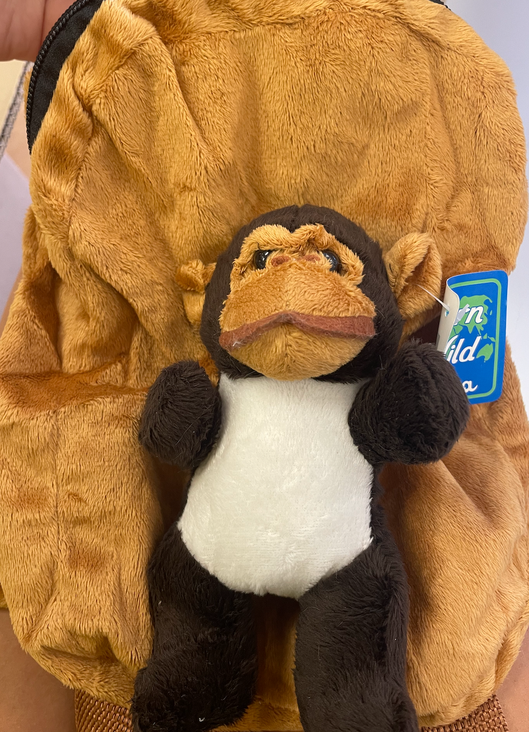 Back Pack Child Leash