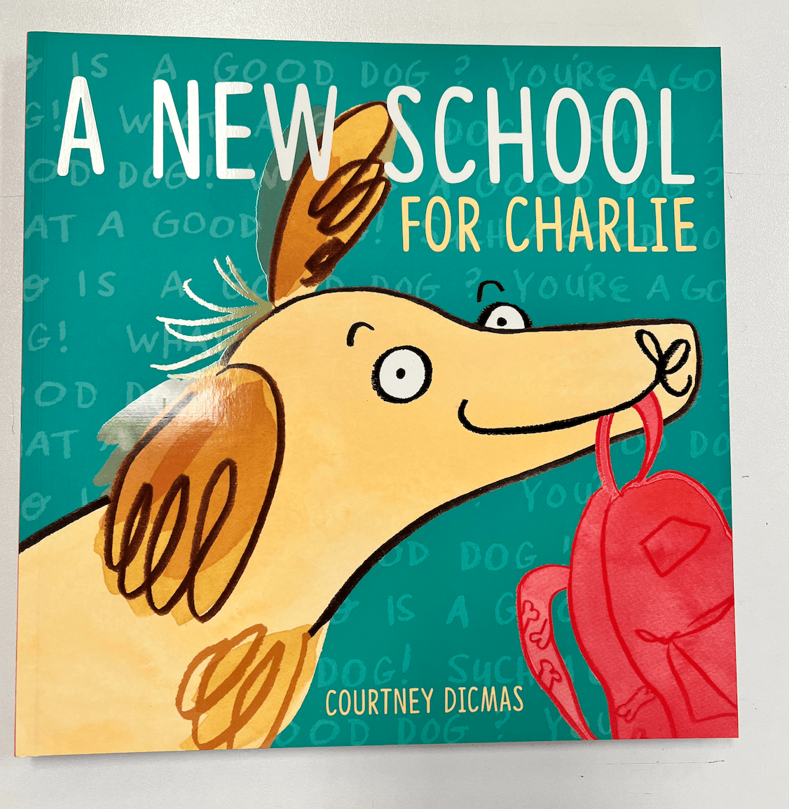 A New School For Charlie