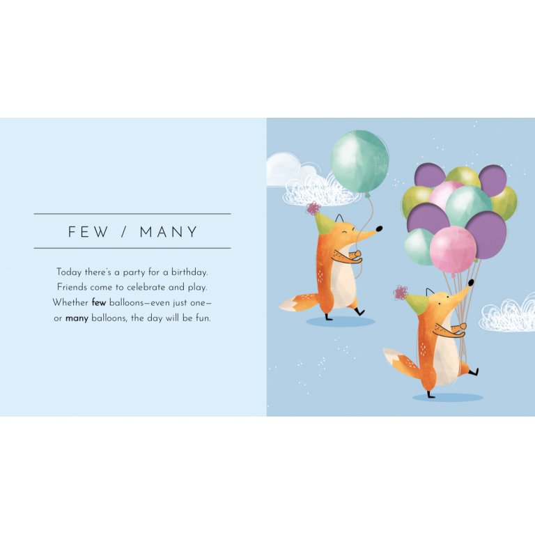 Opposites touch and feel book