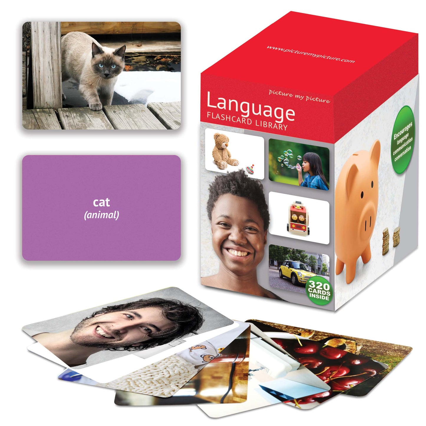 Flash Cards