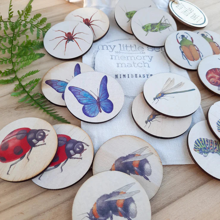 My Little Set Memory Match Minibeasts