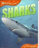 Sharks Book - Animal Lives