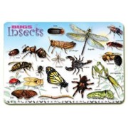 Bugs and Insects Placemat