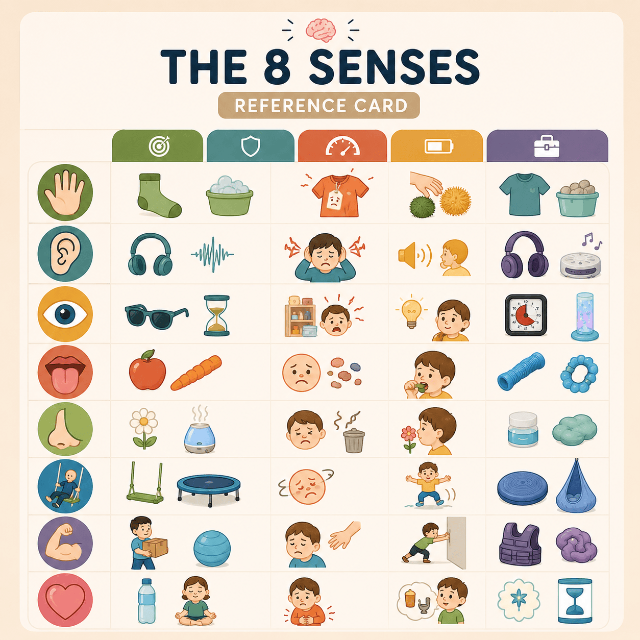 The 8 Senses Explained