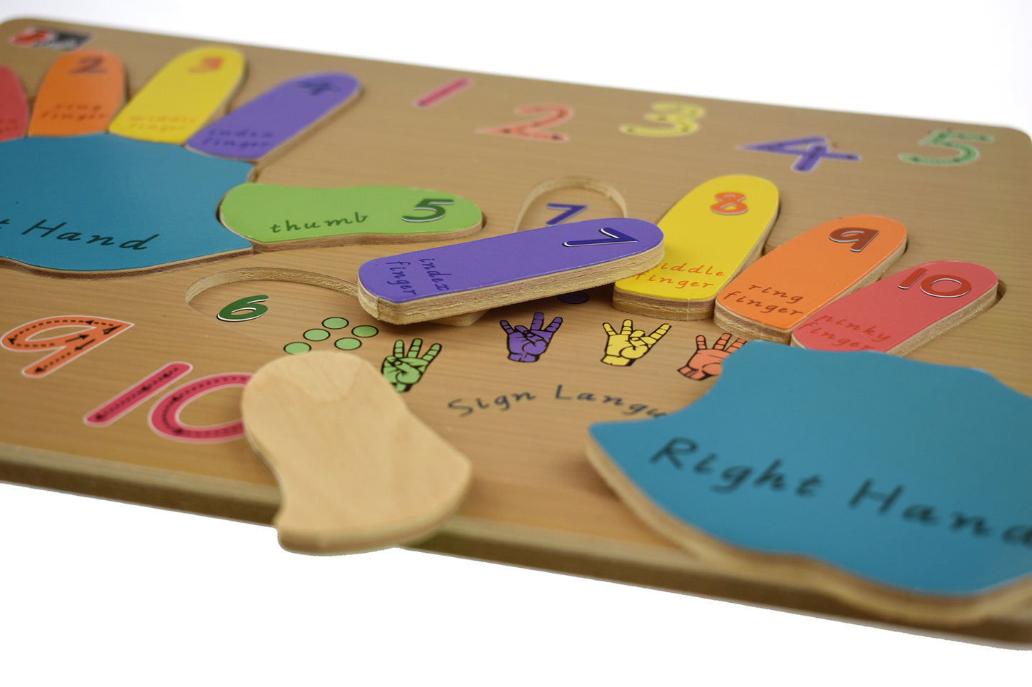 Left and Right Hand Puzzle