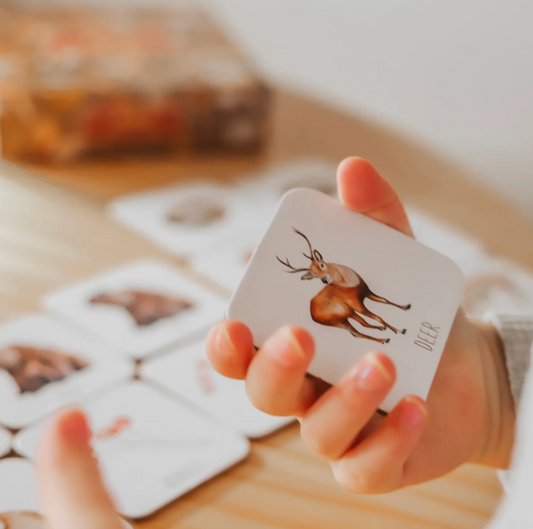 Memory Cards
