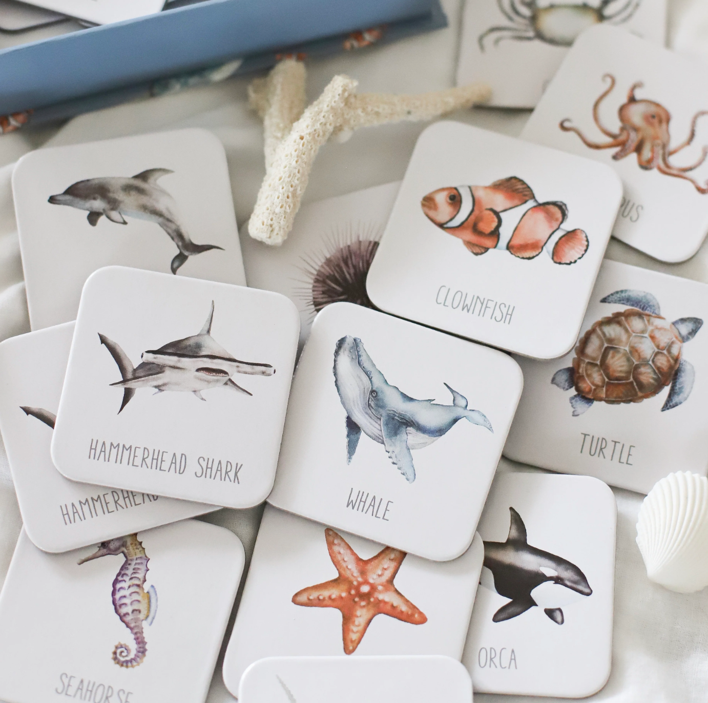 Memory Cards