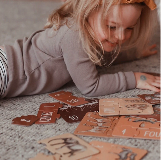Africa Counting Puzzle