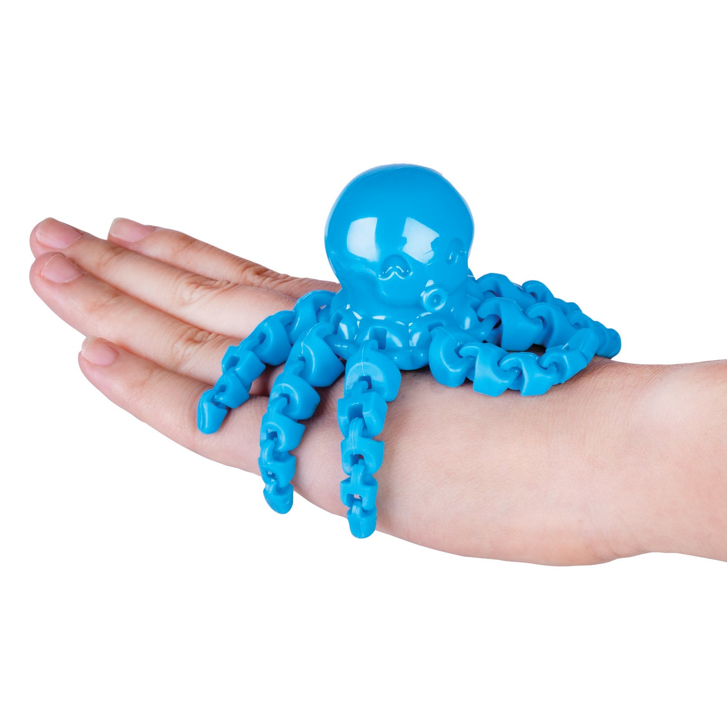 Sensory Octopus
