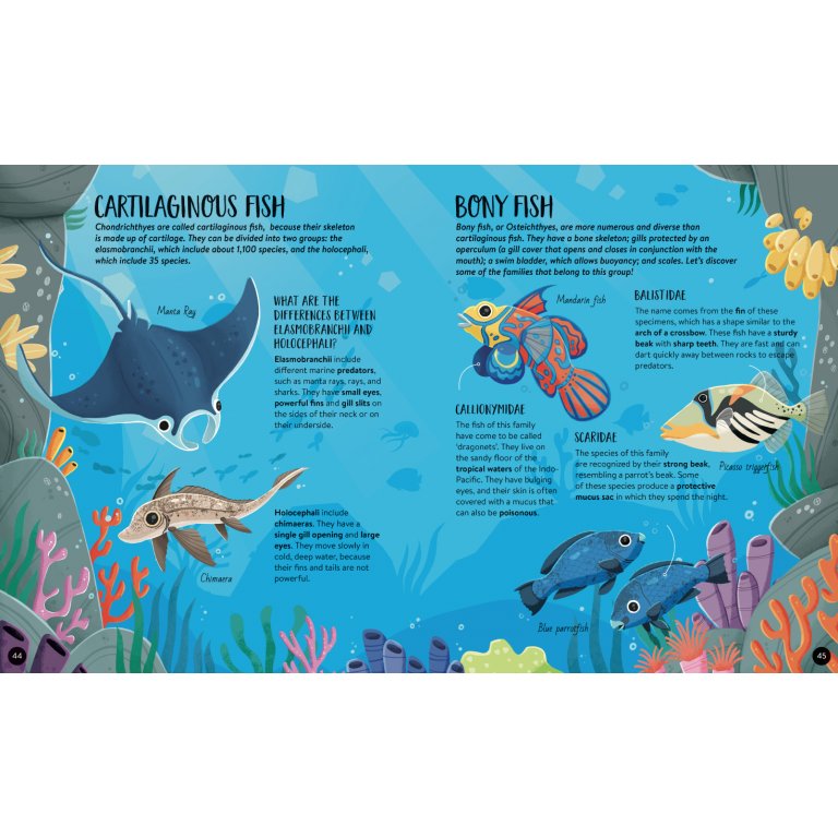Ultimate Altlas- Animals
