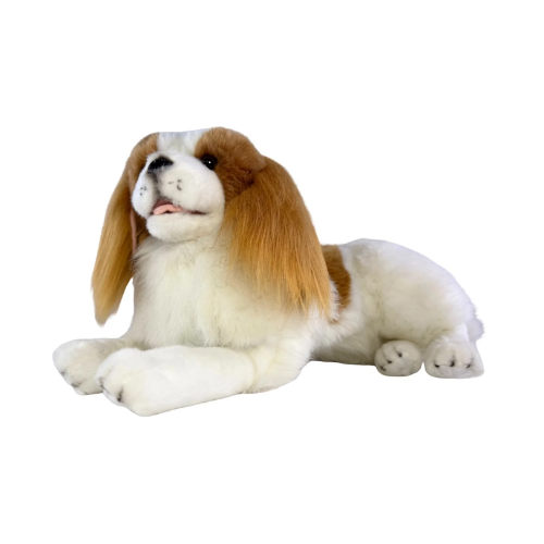 Izzy King Charles Cavalier Dog Weighted