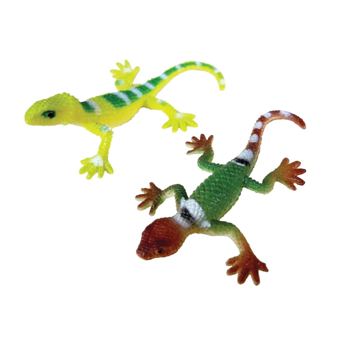 Lids 'n Lizards