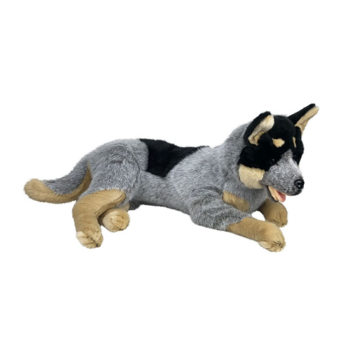 Orazio Cattle Dog Weighted