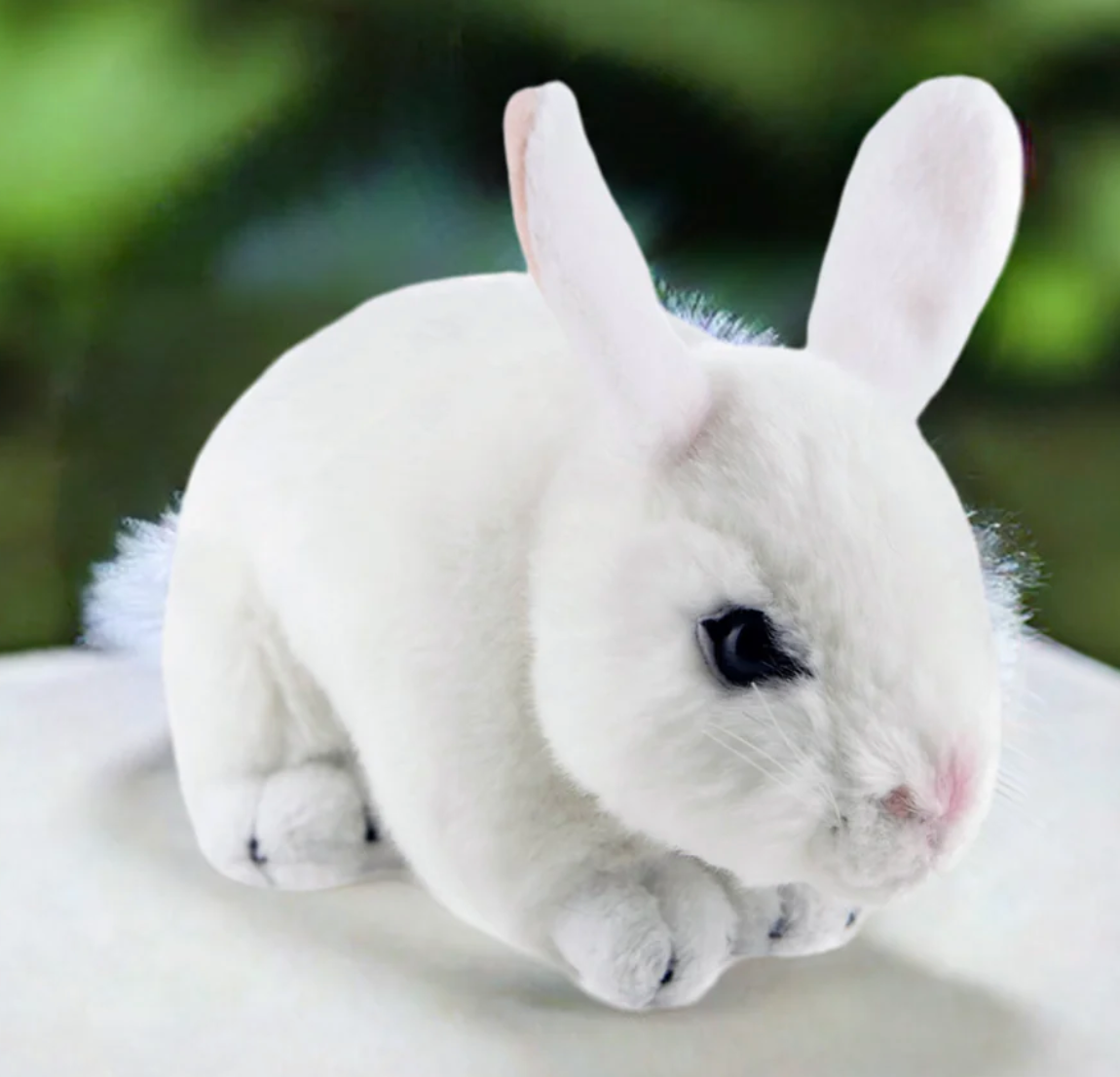Cotton Weighted Bunny White