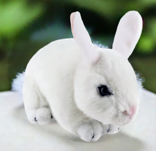 Cotton Weighted Bunny White