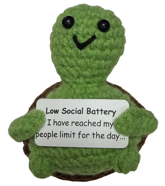 Low Social Battery Turtle