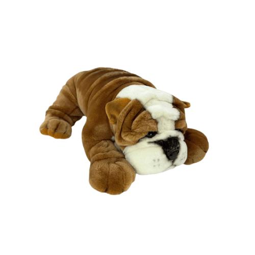Boston Bulldog Weighted — Boston is a really cute realistic red &amp; white British bulldog — OT recommended, Australia