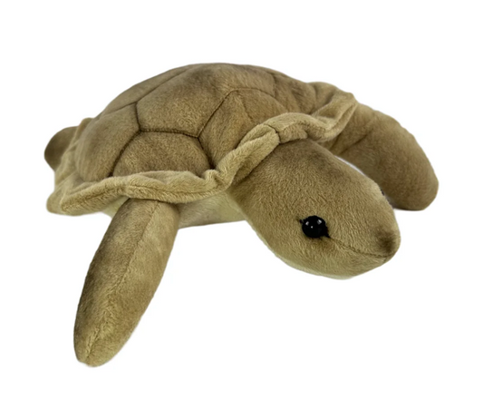 Doug Weighted Turtle