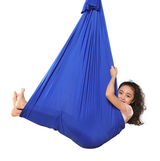 Sensory Swing