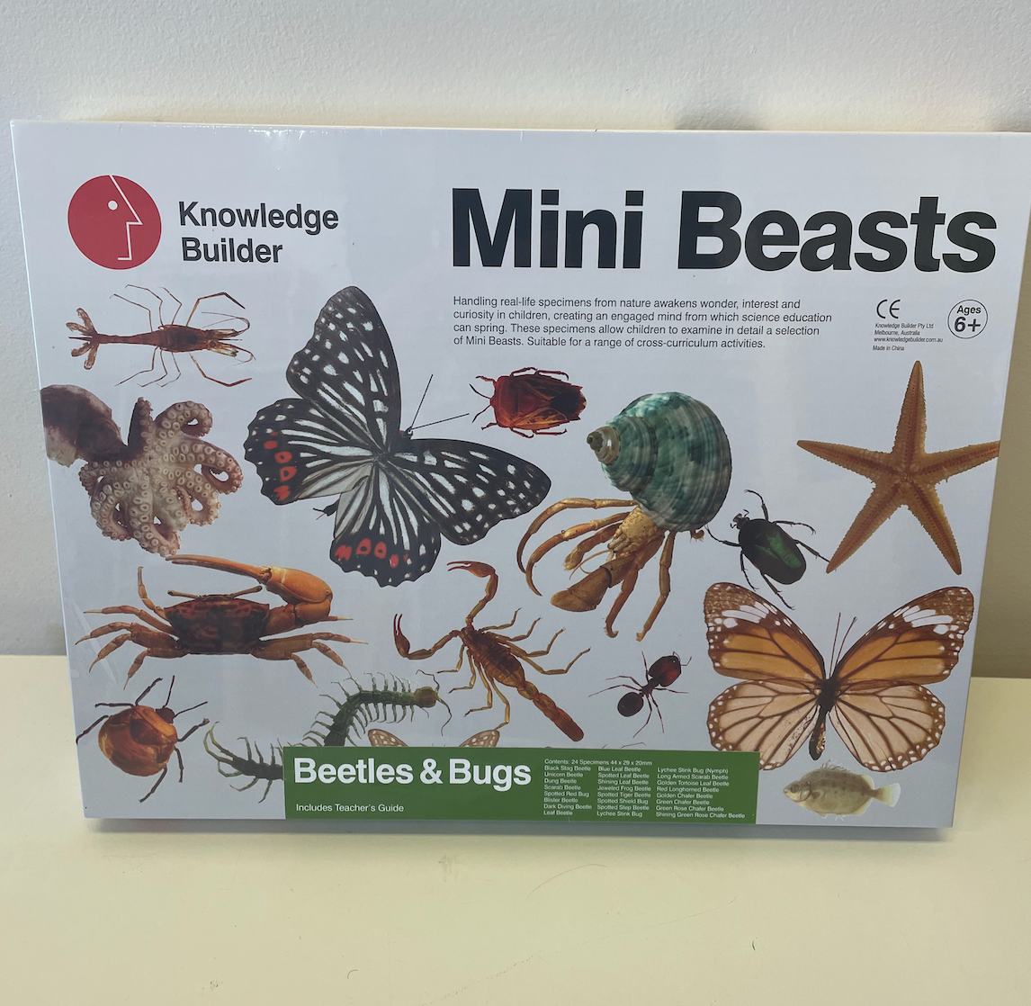 Mini Beasts Beetles & Bugs