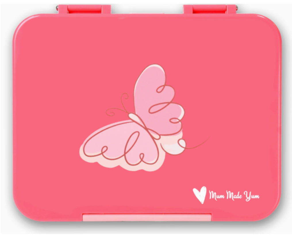 Bento Lunch Box (Large)