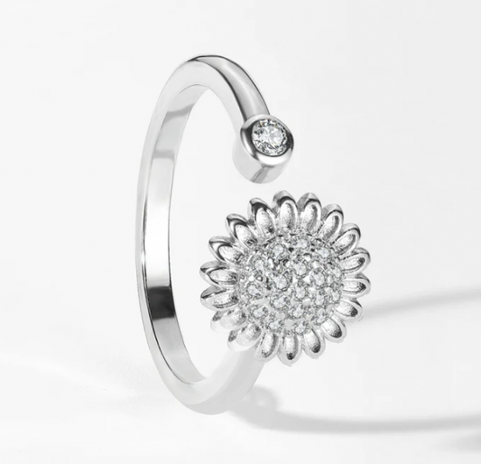 Worry Rings