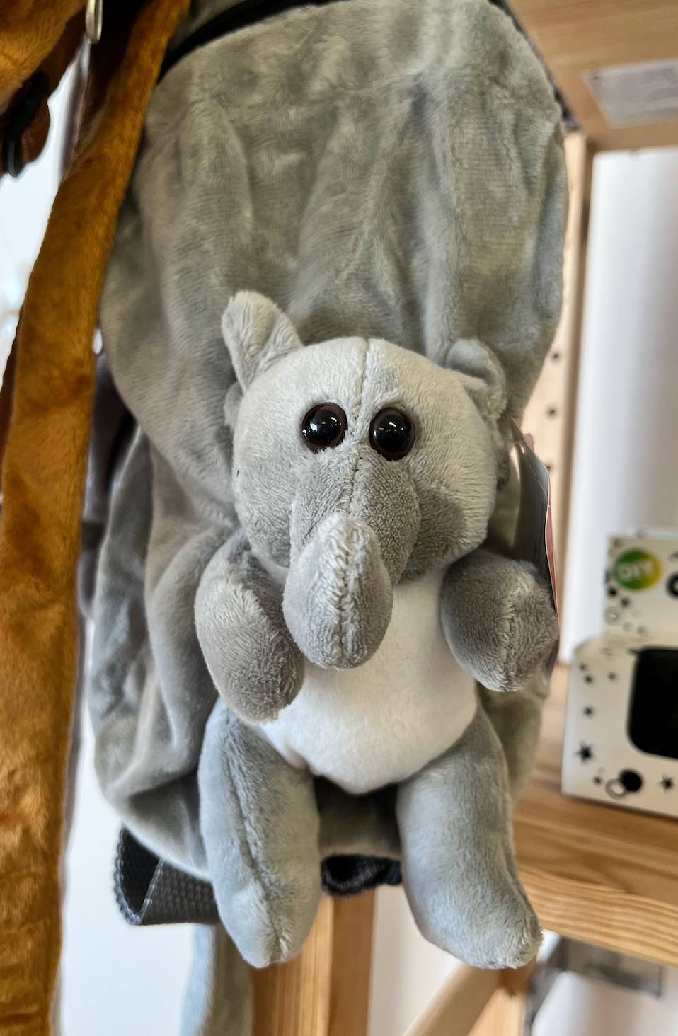 Back Pack Child Leash