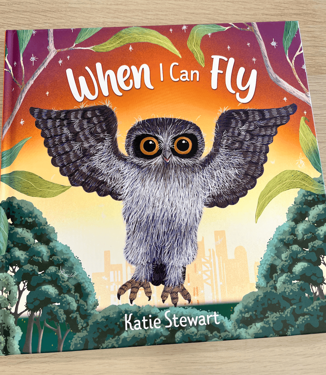 When I Can Fly