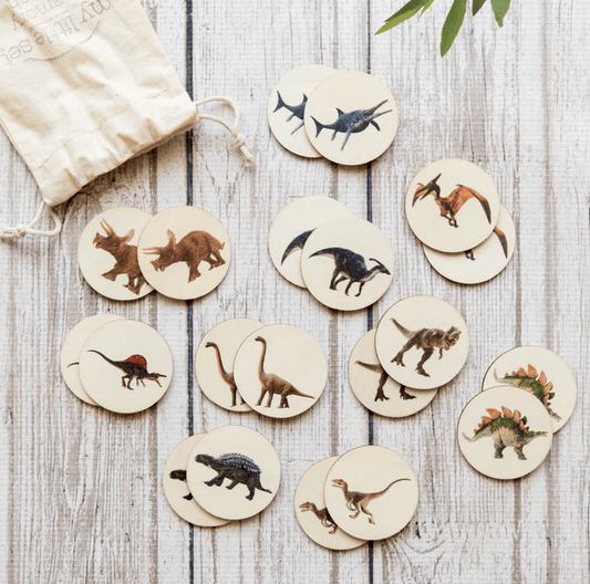 My Little Set Memory Match Dinosaurs