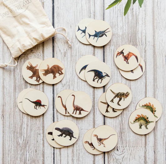 My Little Set Memory Match Dinosaurs