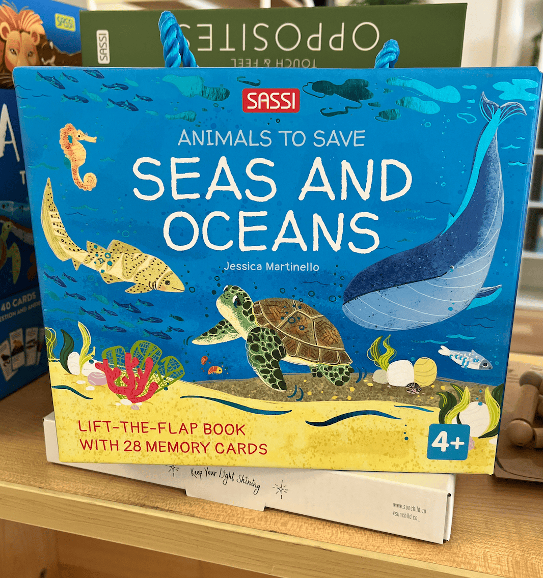 Seas and Oceans - Sassi