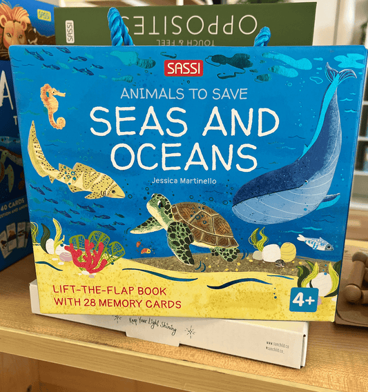 Seas and Oceans - Sassi