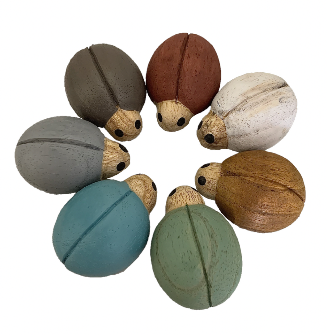 Earth Ladybirds 7 piece