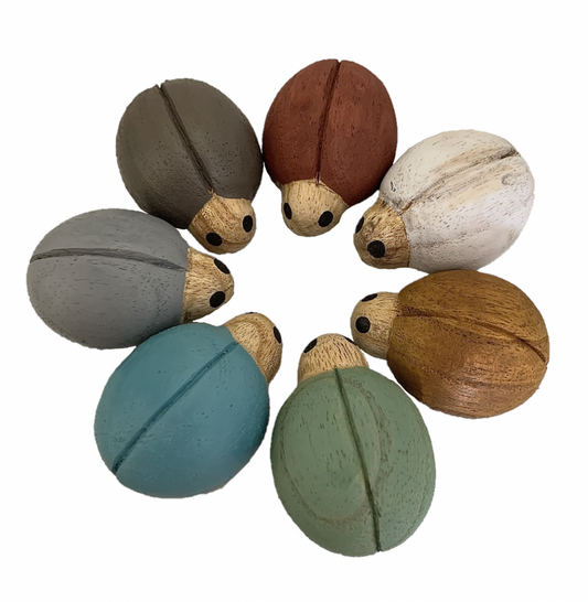 Earth Ladybirds 7 piece