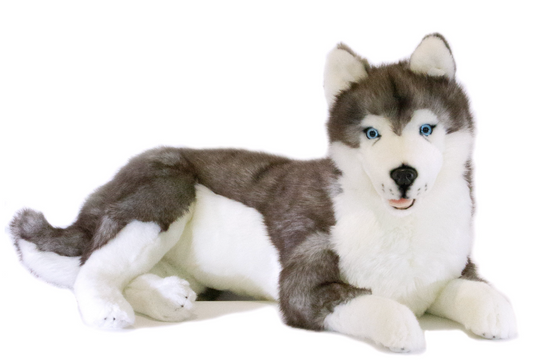 Rocco Husky Dog Weighted