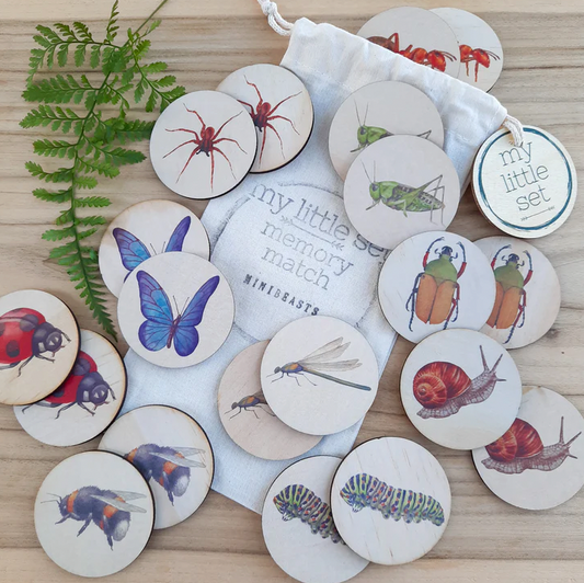 My Little Set Memory Match Minibeasts