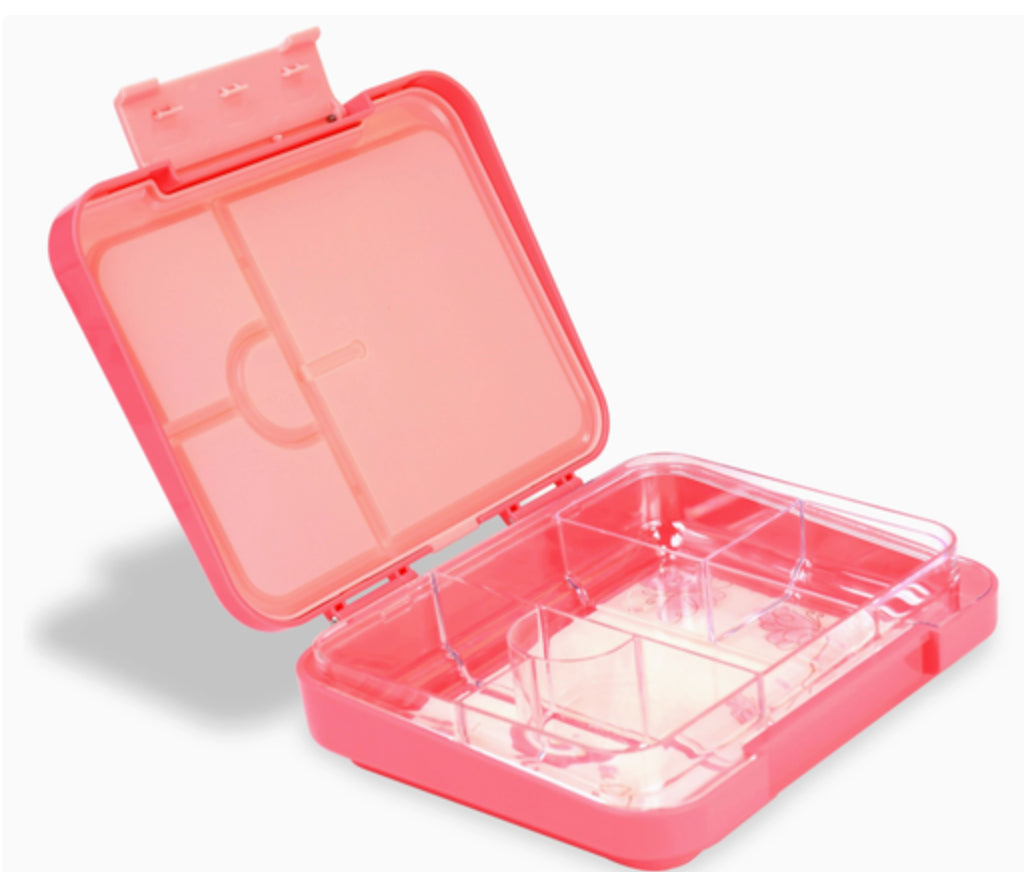 Bento Lunch Box (Large)