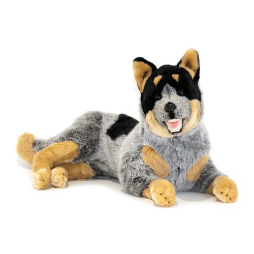 Orazio Cattle Dog Weighted — 4.65kg Orazio is a really cute realistic handmade large lying Australian — OT recommended, Australia